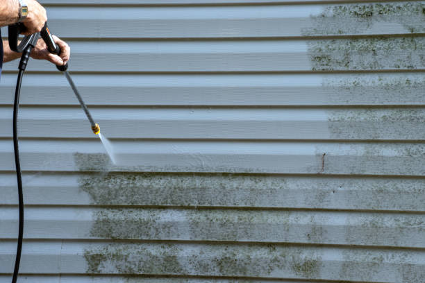 Best Siding Removal and Disposal  in Suquamish, WA